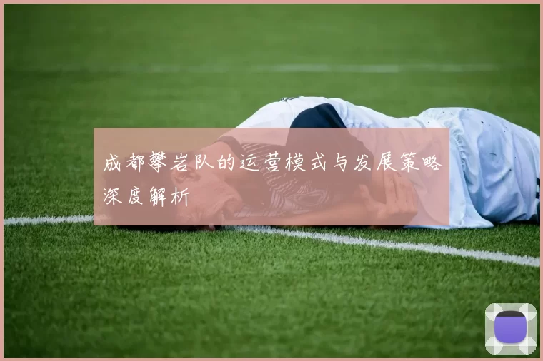 成都攀岩队的运营模式与发展策略深度解析