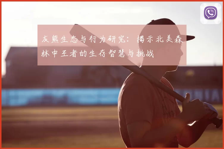 灰熊生态与行为研究：揭示北美森林中王者的生存智慧与挑战