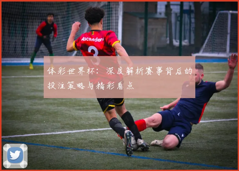 体彩世界杯：深度解析赛事背后的投注策略与精彩看点