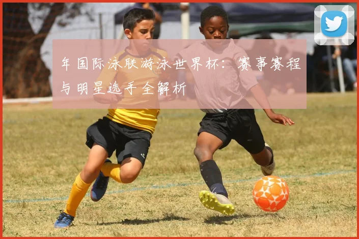年国际泳联游泳世界杯：赛事赛程与明星选手全解析