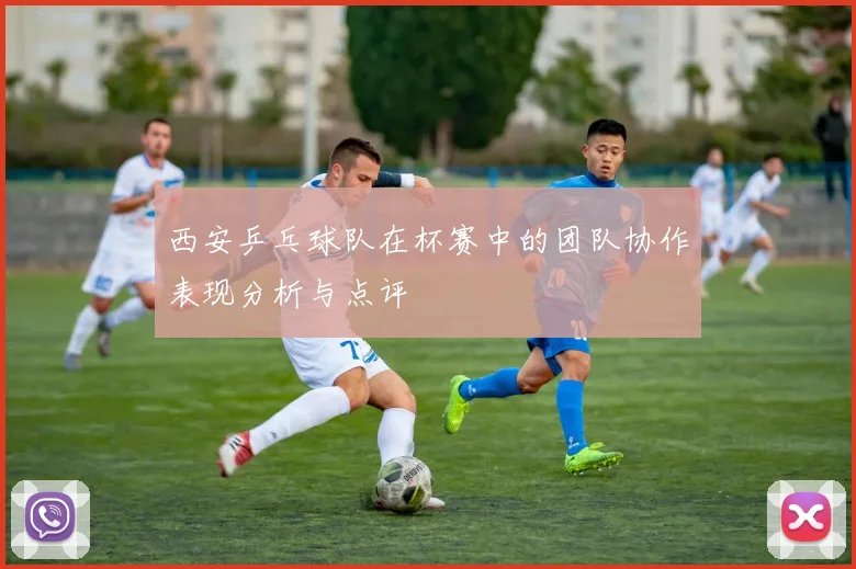 西安乒乓球队在杯赛中的团队协作表现分析与点评
