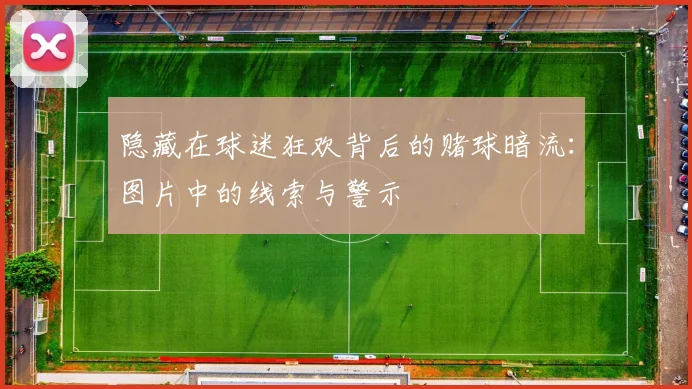 隐藏在球迷狂欢背后的赌球暗流:图片中的线索与警示