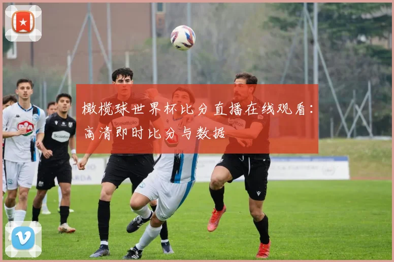 橄榄球世界杯比分直播在线观看：高清即时比分与数据