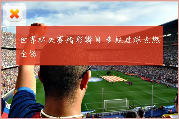 世界杯决赛精彩瞬间 多粒进球点燃全场
