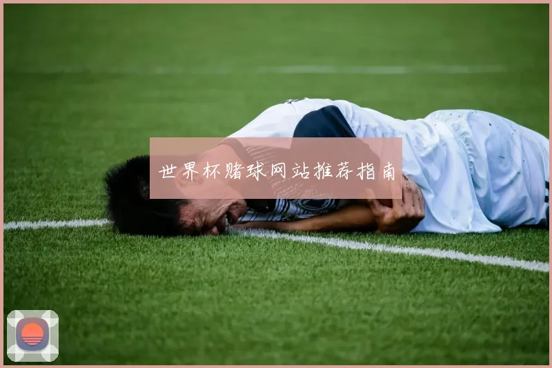 世界杯赌球网站推荐指南