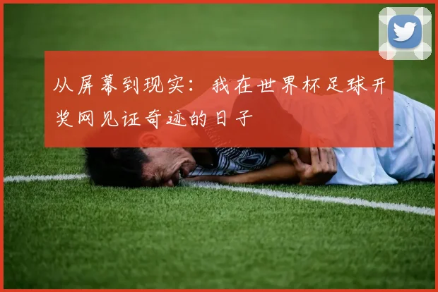 从屏幕到现实：我在世界杯足球开奖网见证奇迹的日子