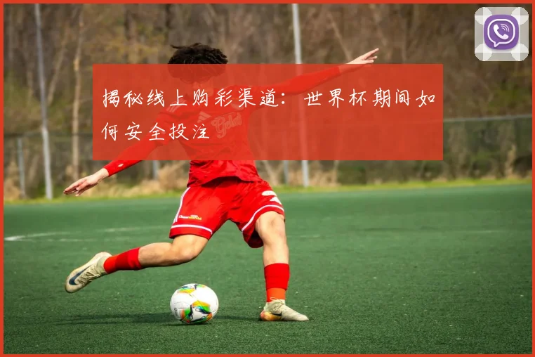 揭秘线上购彩渠道:世界杯期间如何安全投注