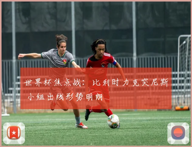 世界杯焦点战：比利时力克突尼斯 小组出线形势明朗