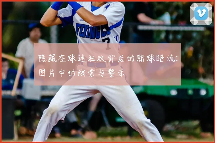 隐藏在球迷狂欢背后的赌球暗流:图片中的线索与警示