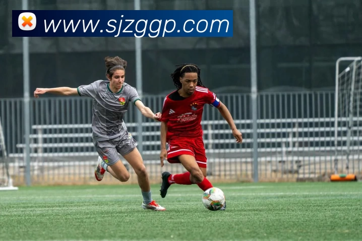 买球官网发展历程