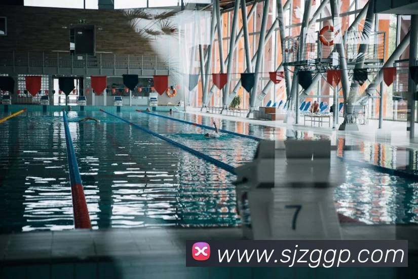 买球官网APP 高清赛事图